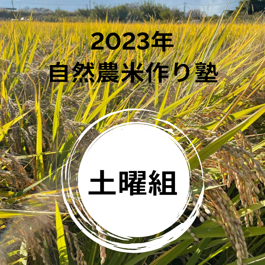 2023年　自然農米作り塾　土曜組